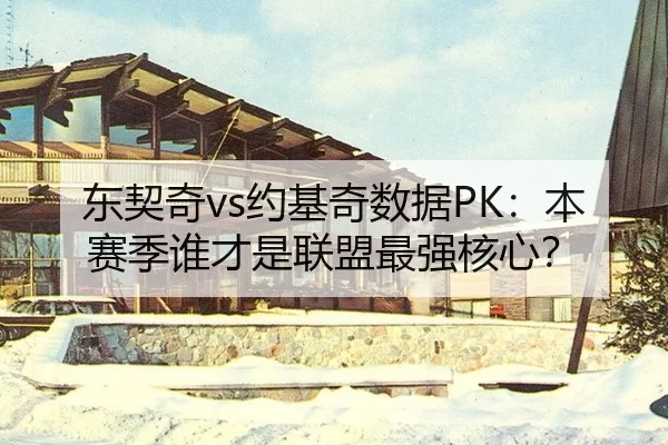 东契奇vs约基奇数据PK：本赛季谁才是联盟最强核心？